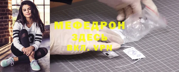 амф Ельня