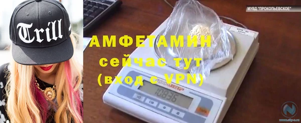 PSILOCYBIN Елабуга