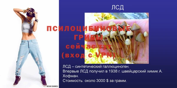 амф Ельня