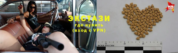 амф Ельня