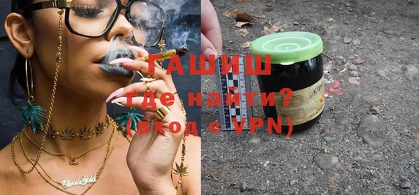 амф Ельня