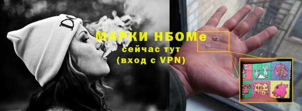 амф Ельня