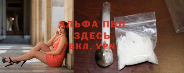 амф Ельня