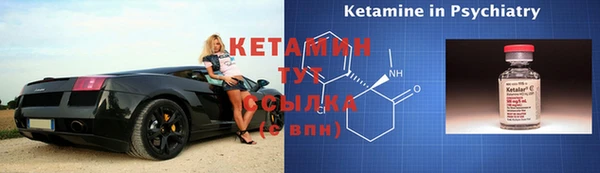 амф Ельня