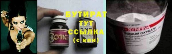 амф Ельня