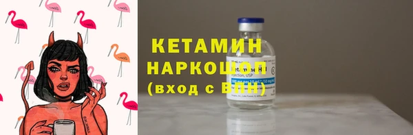 прущие грибы Елизово