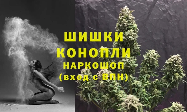 прущие грибы Елизово