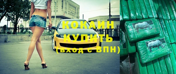 прущие грибы Елизово