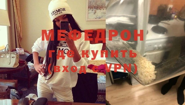 амф Ельня