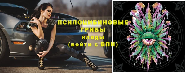 прущие грибы Елизово