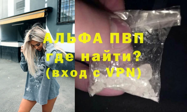 прущие грибы Елизово