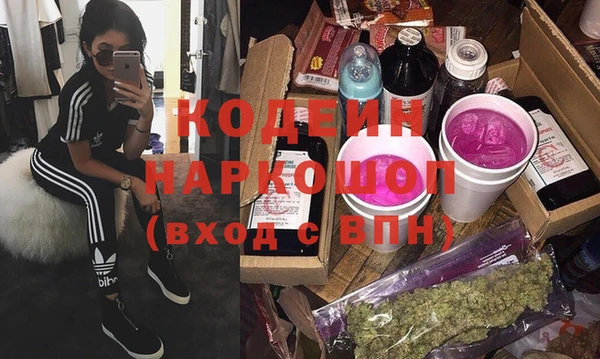 прущие грибы Елизово