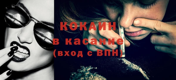 амф Ельня