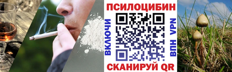 сколько стоит  Калач  мега как войти  Галлюциногенные грибы мицелий 